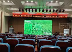 報(bào)告廳led顯示屏